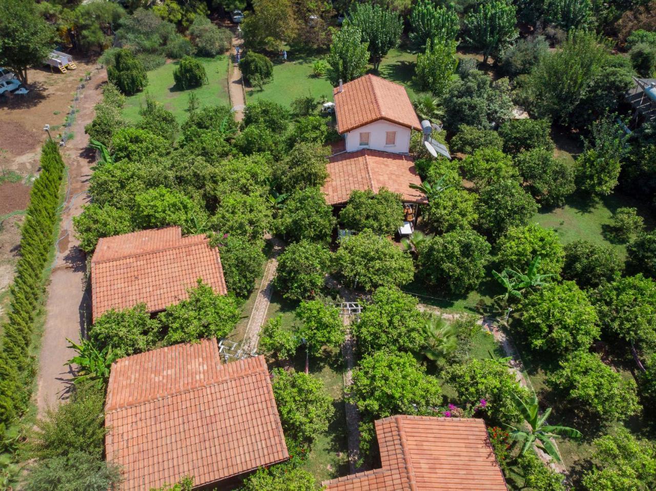 Отель Baraka House Чирали Экстерьер фото